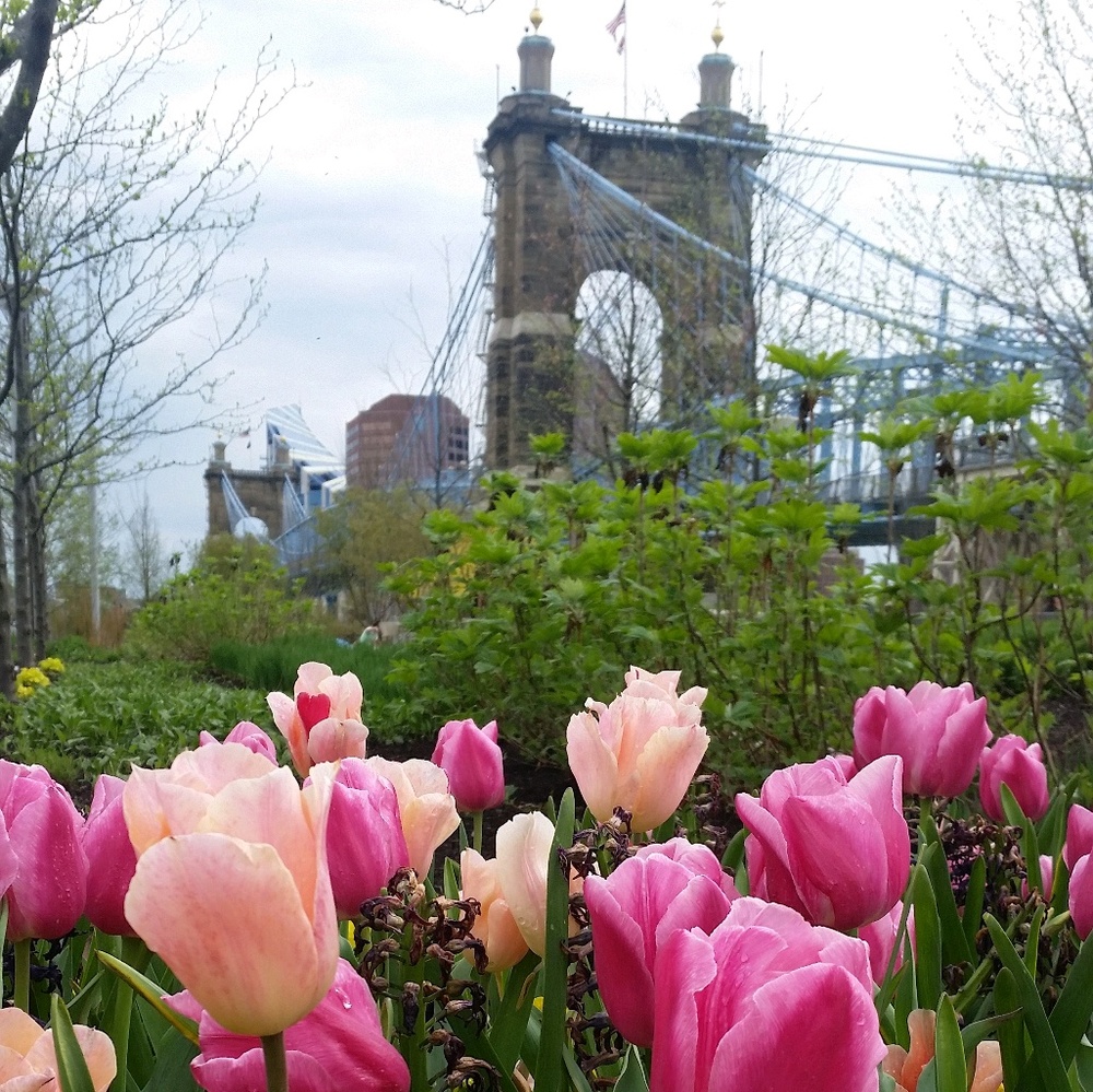 Meet your Posher, Jeany